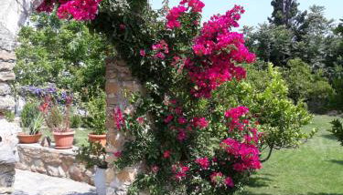 Garden Rooms - Foto 4, Garden view