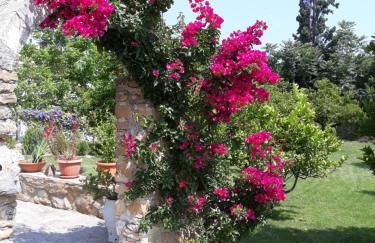 Garden Rooms - Foto 4