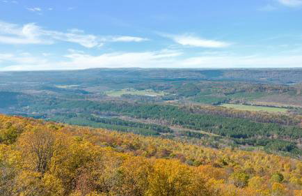 The Lodge in Mentone - Foto 28