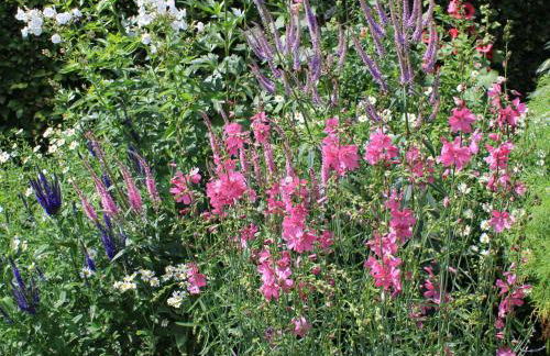 Apartment Appartement mit Wallbox by Interhome - Foto 38