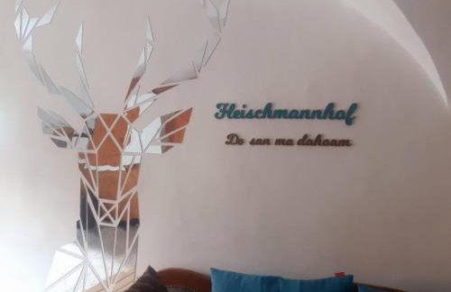 Fleischmannhof Do san ma dahoam - Photo 32