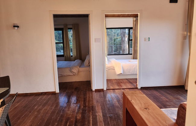 Songs of the Nilgiris - Foto 7