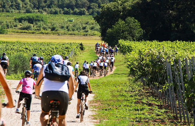 Willa Trojka - Foto 35