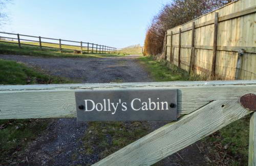 Dolly's Hideaway Cabin - Foto 29