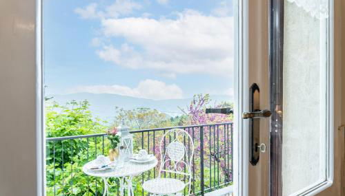 Sassi Scritti - Acero Montano - Foto 5