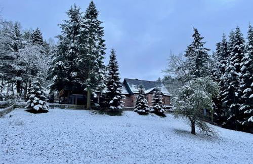 Apartment im Wald - mit Schwimmbad! - Foto 29