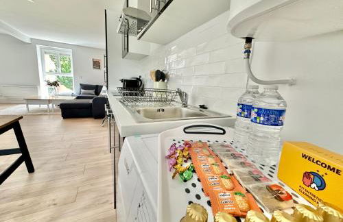 Le Renouveau, neuf et tout équipé - Foto 19