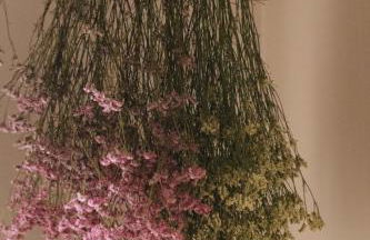 Apartaments la Rambla - Esperó de Bolós - 4 pers - Foto 25