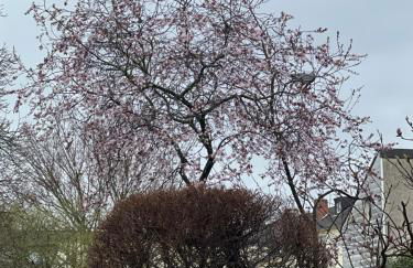 Appartement am Teich - Foto 28