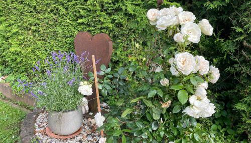 Lieblingsplatz Lissberg - Photo 4, Garden view