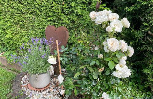 Lieblingsplatz Lissberg - Photo 4