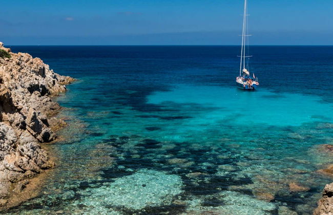Asinara Catamaran Tour - Photo 5