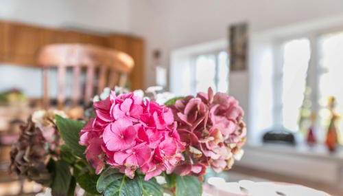 Mühlenhof Ferienwohnung 3a - Foto 5