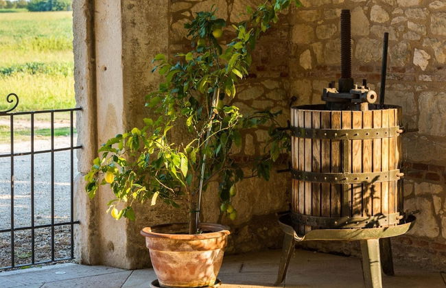 Tigli Apartment With two Bedrooms and one Bathroom on the Second Floor With 4 Metre Glass Window Apartment 6 - Foto 33