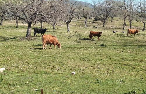 Casa Dana, Losar de la Vera - Foto 28