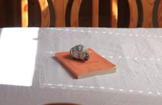 Lütt Hus Rügen, Ferienhaus in Strandnähe - Foto 40