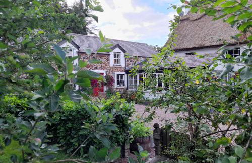 Berwickhall Apartment - Foto 13