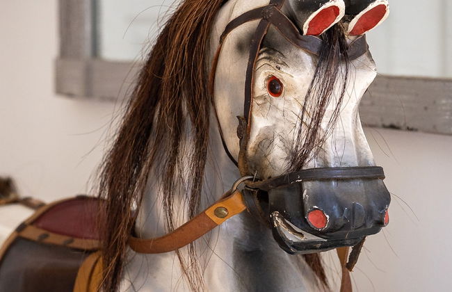 Haldon View in Bishopsteignton - Foto 12