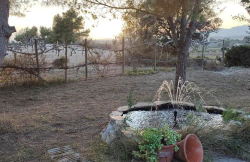 Romegosa Benestar - Foto 6