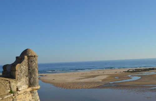 Quinta das Figueiras - Foto 37