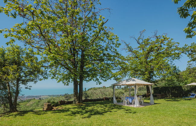 Di Carlino - Foto 27