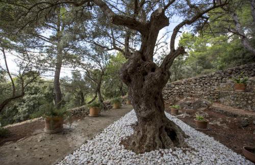 Sa Casa des Mirador - Foto 20