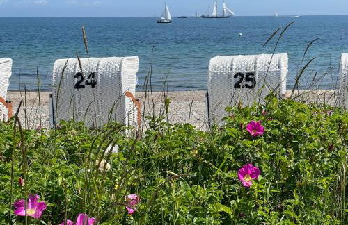 SommerLund - macht Laune auf Meer - Ruhige und sonnige Ferienwohnung mit Terrasse und Garten nahe Strand und Ostsee - Foto 45