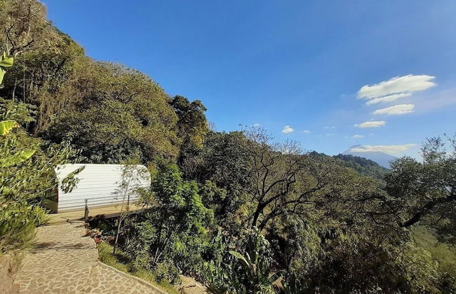 Finca El Tambor - Foto 22