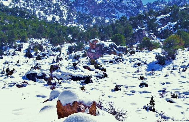 Casa rural El Salero en Moratalla - Foto 41