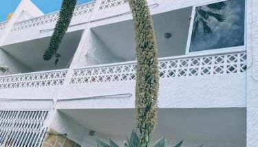 Loft on the beach Corralejo iRent Fuerteventura - Photo 5