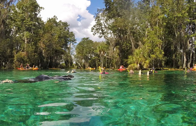 Giro in barca sul Crystal River - Foto 6