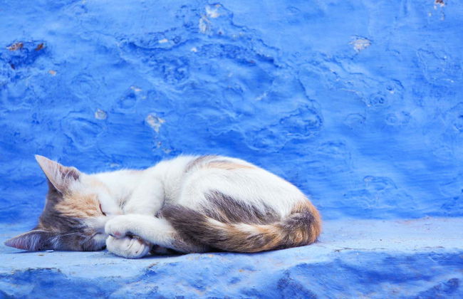 7 jours de Tanger à Marrakech avec visite du désert de Merzouga - Photo 8