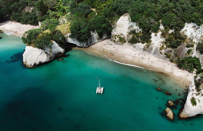 Coromandel Boat Charter with Skipper - Photo 3