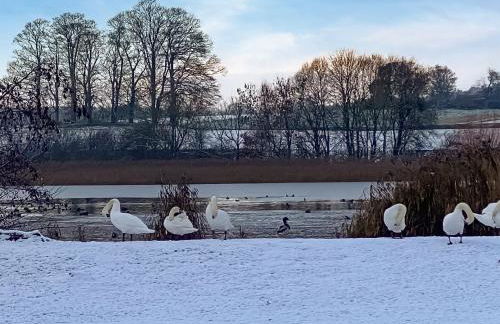 Borders Cottage - Foto 21