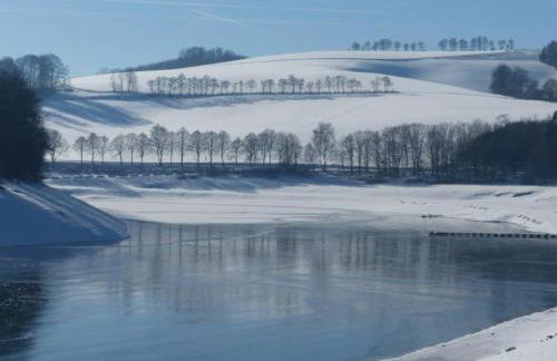 Henneglück mit Fernblick! - Foto 28
