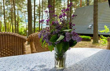 Jak Tu Sielsko - Foto 57