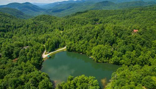 Dancing Bears Cabin Breathtaking Sunrise Mountain Views! - Foto 4