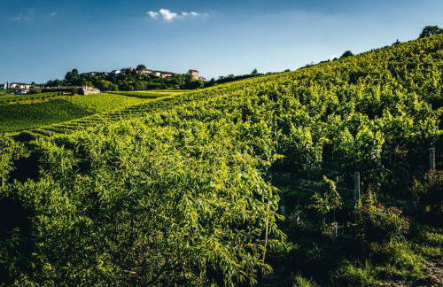 Agriturismo Dacapo - Foto 15