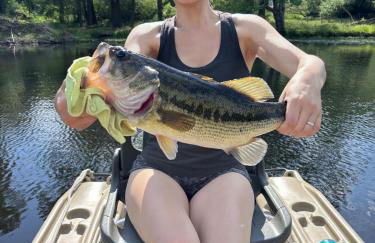 Lakefront Cabin with Private Dock Kenoza Den - Foto 24