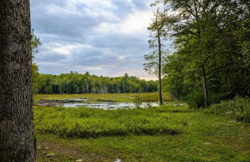 Serene Rustic Retreat with Lake - Photo 40