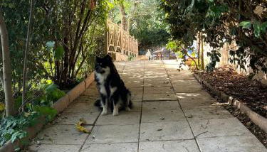 Casa Patoche - Foto 2