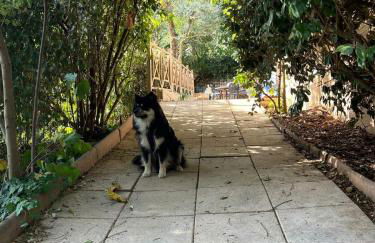 Casa Patoche sur les hauteurs de Saint-Péray - Foto 16