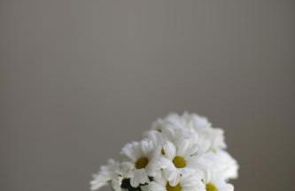 Apartaments Claudia - Foto 25