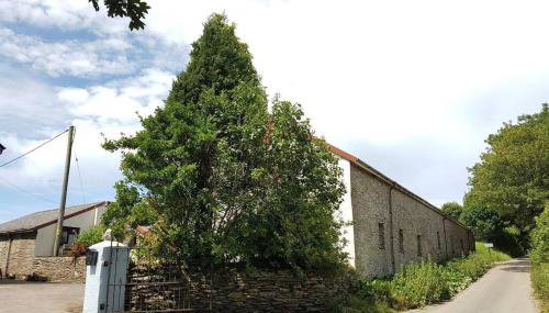 Sandy Cove Cottage - Foto 3