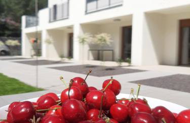 Skorzęcin Pachnie Miętą - Foto 9