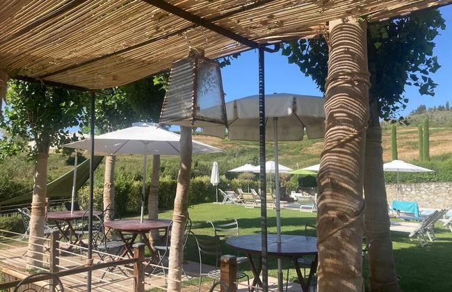 Gatto Bianco Tizzauli - Foto 46