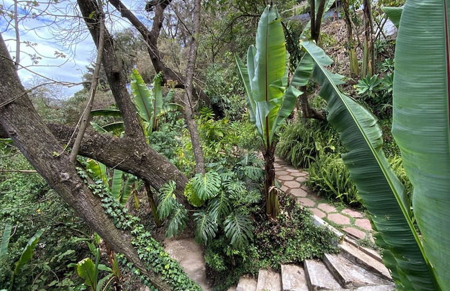 Finca El Tambor - Foto 54