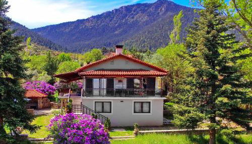 Villa Arcadia - Foto 4, Garden view