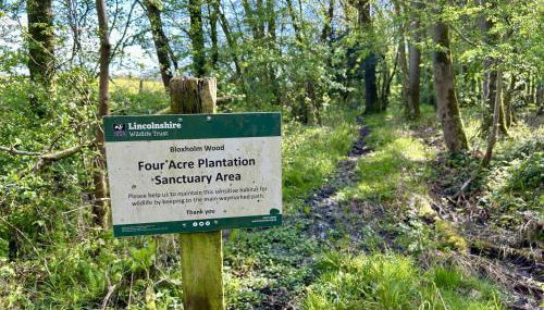 Cosy and secluded brook-side lodge - Foto 5, Garden, Garden view