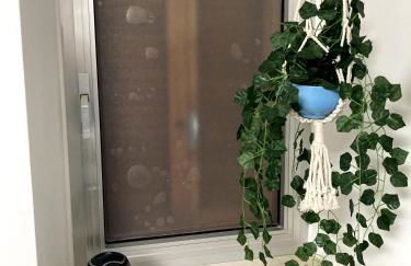 Casa Il Muro - Foto 10